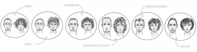 Высокий лоб как определить