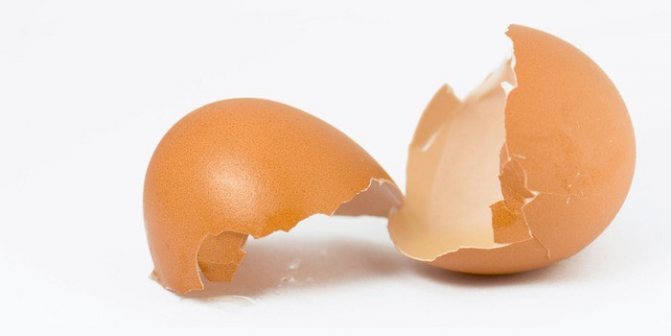 Яичная скорлупа - богатый источник кальция для организма. Польза, как принимать